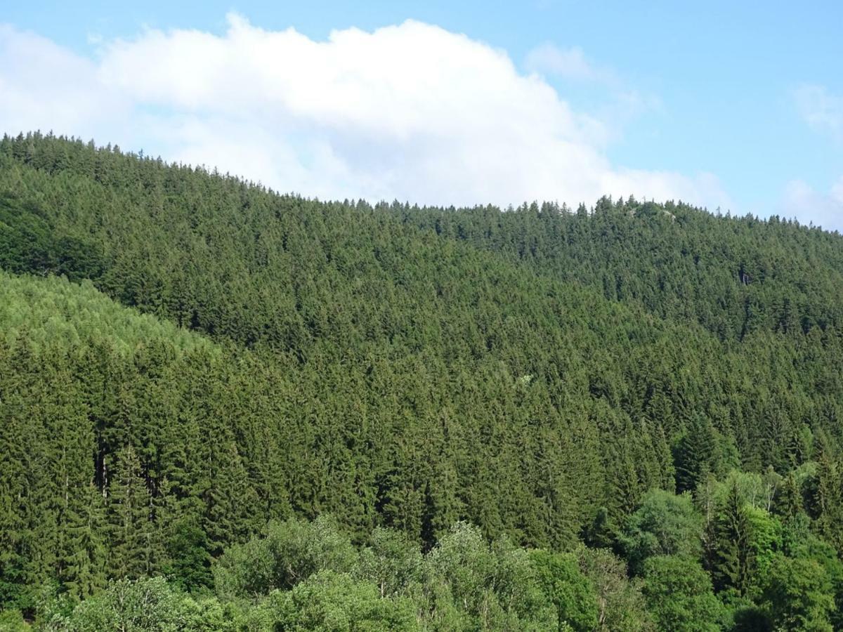 Ferienwohnung Am Berggrabenweg Ilmenau Zewnętrze zdjęcie
