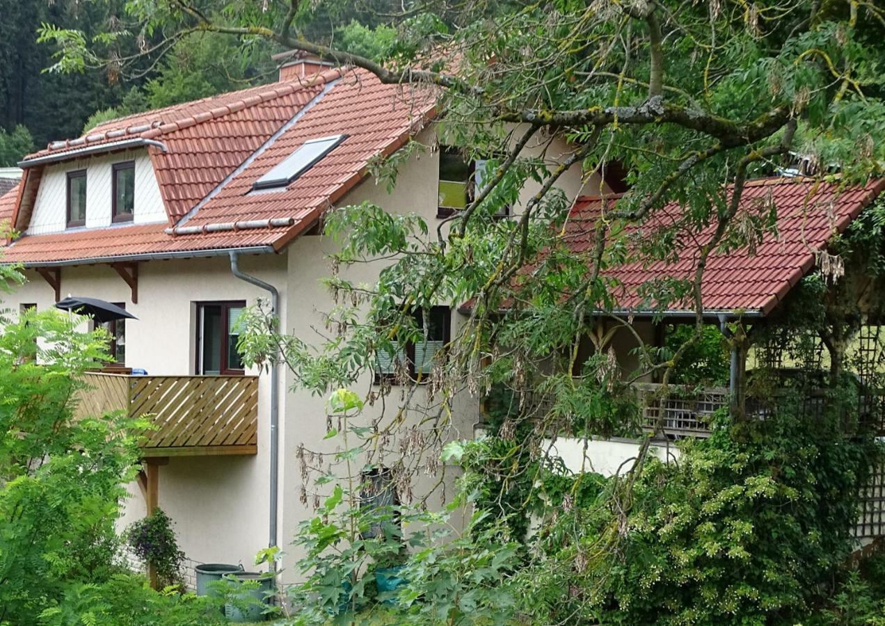 Ferienwohnung Am Berggrabenweg Ilmenau Zewnętrze zdjęcie
